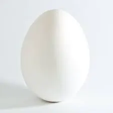 Mayonaise "The Real Thing"