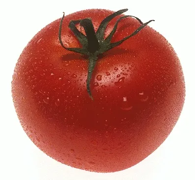 Ketchup TRT