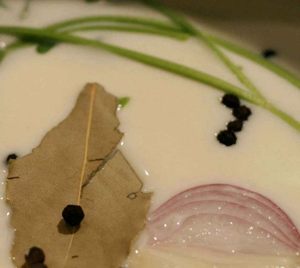 Béchamel Sauce