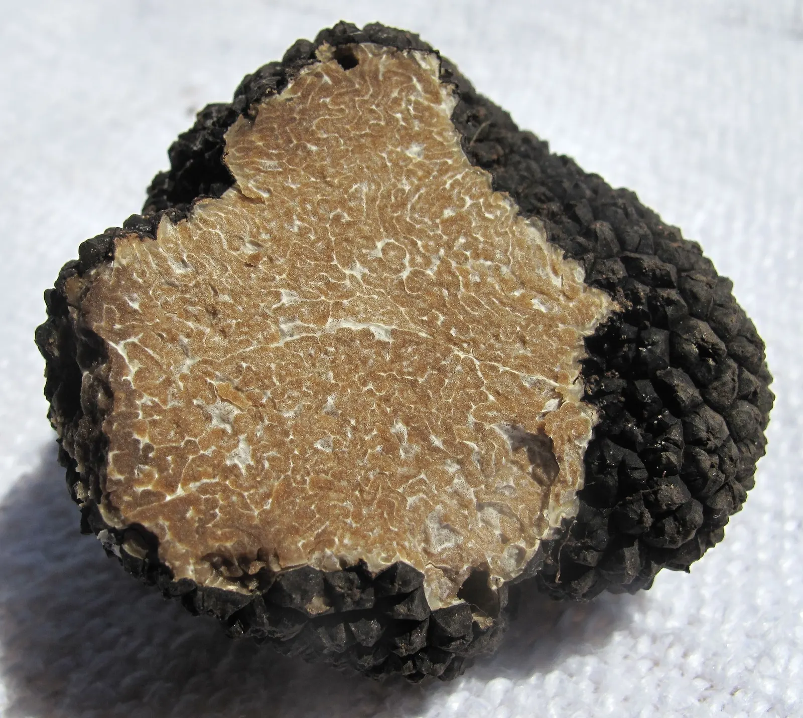 Truffled Brie ala Remy