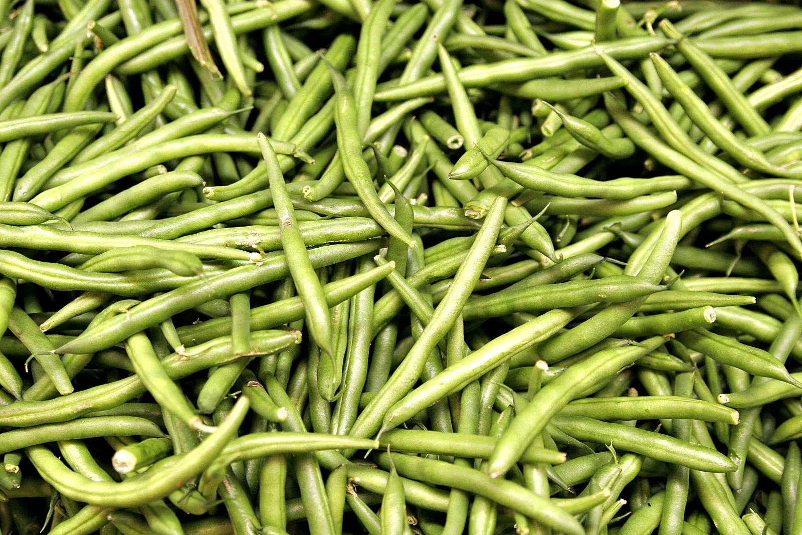 Sajour Green Beans - Indonesian
