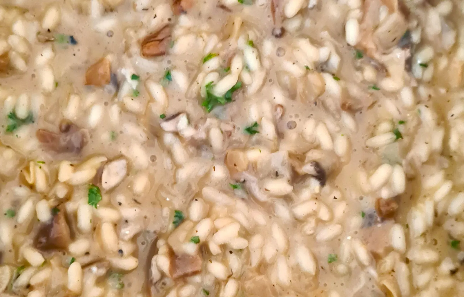 Porchini Mushroom Risotto ala Remy